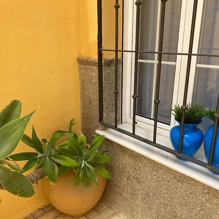 Jema El Bajondillo 아파트 *